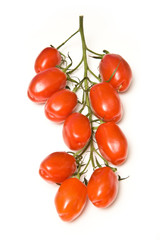 Italian Marzinino vine tomatoes on a white studio background.