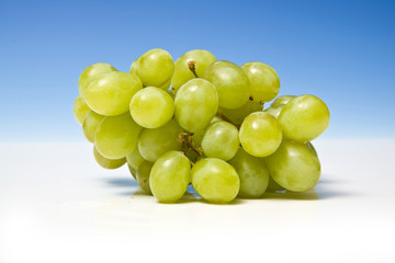 Grapes on a graduated blue studio background.