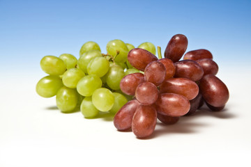 Grapes on a graduated blue studio background.
