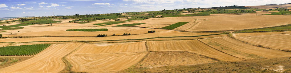 Fototapeta na wymiar Castilla's fields panoramic 10237x2600