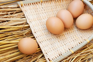 eggs in basket