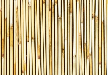 Chinese bamboo background