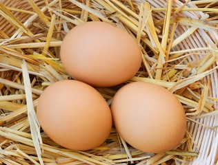 three eggs in basket