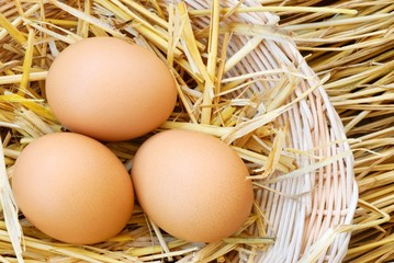 three eggs in basket