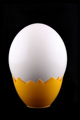 Big ostrich egg isolated on black background