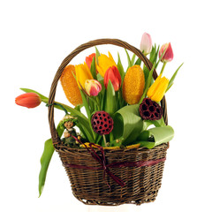 Spring flowers