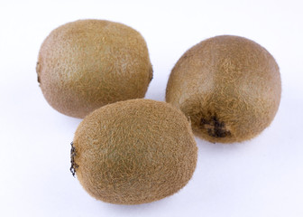 kiwi fruit