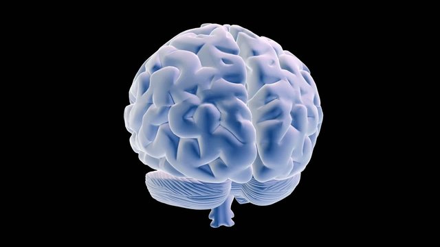 Brain loop 360&deg; hd1080