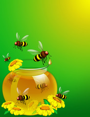 Api e Miele-Bees and Honey-Abeilles et miel