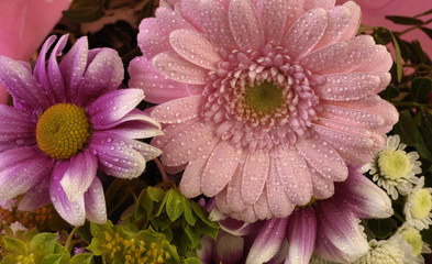 étal de fleurs au marché