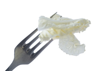 Cabbage