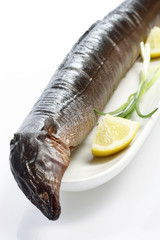 Raeucheraal im Detail