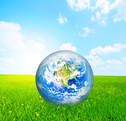 Earth globe on green grass