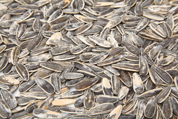 Sunflower seeds isolated on a white studio background.