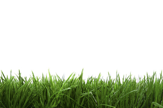 frame background with green grass