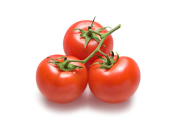 Tomatoes on a bunch-22