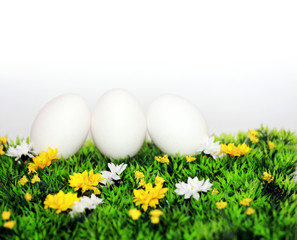 Eine Reihe weisser Eier