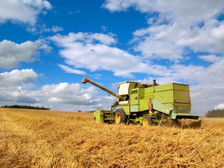 Obraz premium harvest