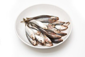 plate of sprats isolated on a white studio background.