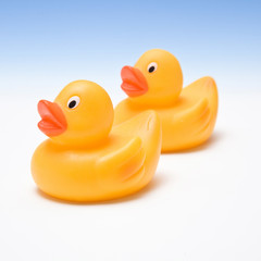 rubber ducks