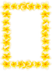 Yellow frangipani framing