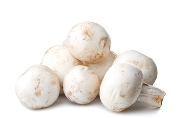 Fresh mushrooms