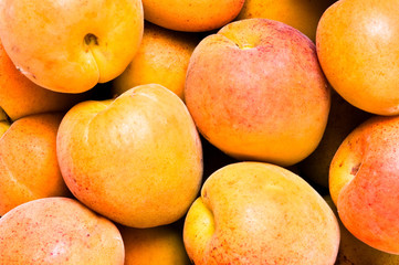 close-up apricot background