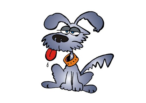 Hund