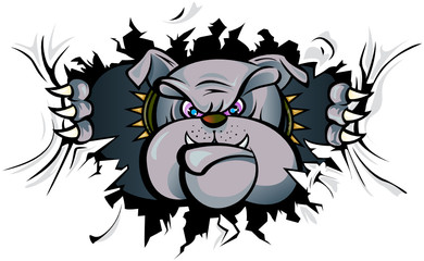 Bulldog attack