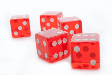 five dice on white