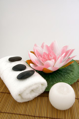 Aromatic spa objects