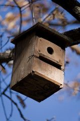 Wooden birdhouse on a tree.