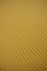 Sand dune in Patagonia.