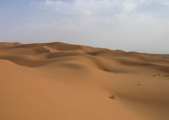 Fototapeta na wymiar vagues de sable dans le désert du Maroc