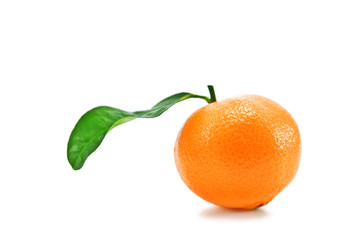 mandarin