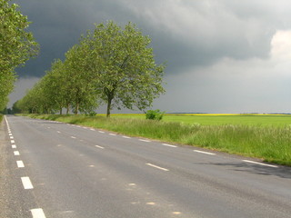En bordure de route