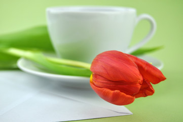 Spring Message