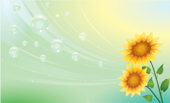 Creative background with sunflowers