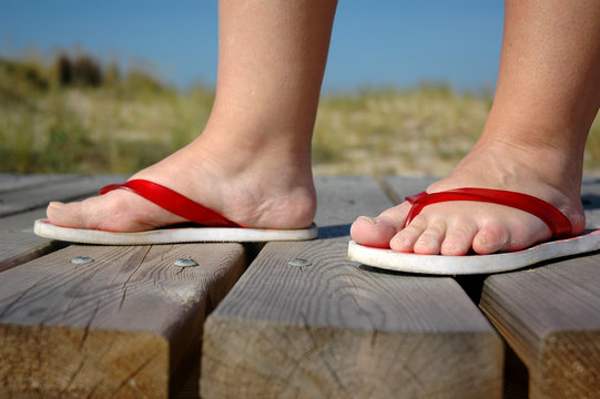 Chanclas Images – Browse 415 Stock Photos, Vectors, and Video | Adobe Stock