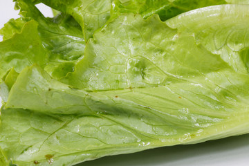 micro shoto:details of green vegetable