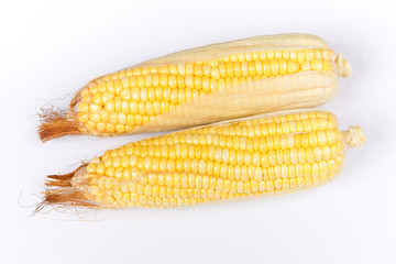 two corn on a white background