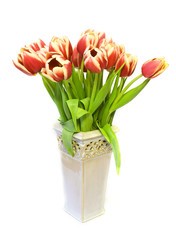 Tulips in the vase