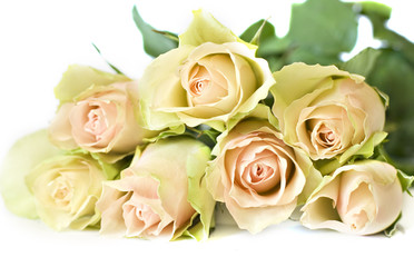 Beautiful roses