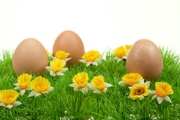 easter eggs in spring