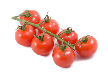 ripe tomatoes isolated
