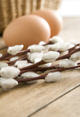 Two eggs and catkins
