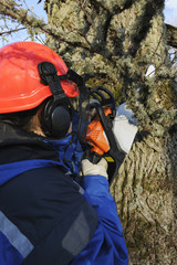 Obraz premium lumberjack close-ups