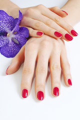 Obraz na płótnie Canvas Różowy manicure, purpurowe orchidea
