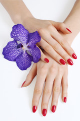 Fototapeta premium Beautiful manicure and purple orchid