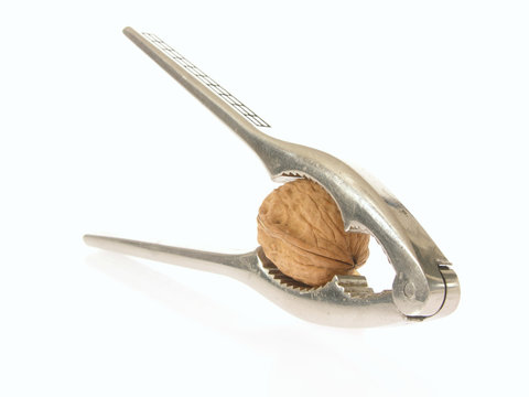 Walnuss im Nussknacker/walnut in cracker